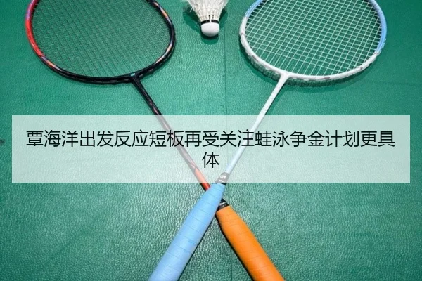 覃海洋出发反应短板再受关注蛙泳争金计划更具体